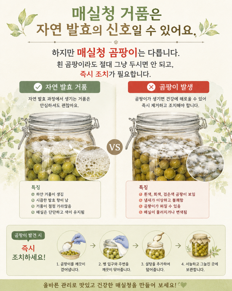 매실청 거품 매실청 곰팡이, 이제 걱정 마세요 — 원인부터 예방까지 다 알려드립니다