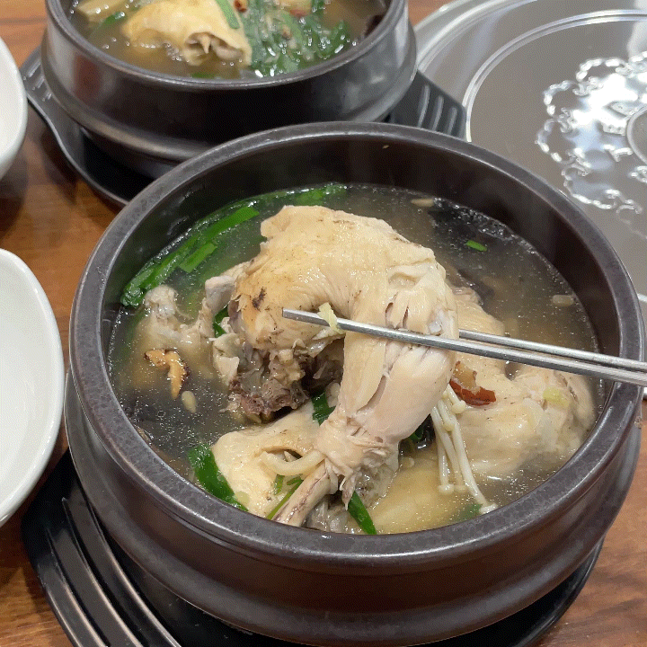  대전 둔산동 맛집 수통골능이버섯백숙 법원점 | 깊고 진한 능이 향에 반했어요!