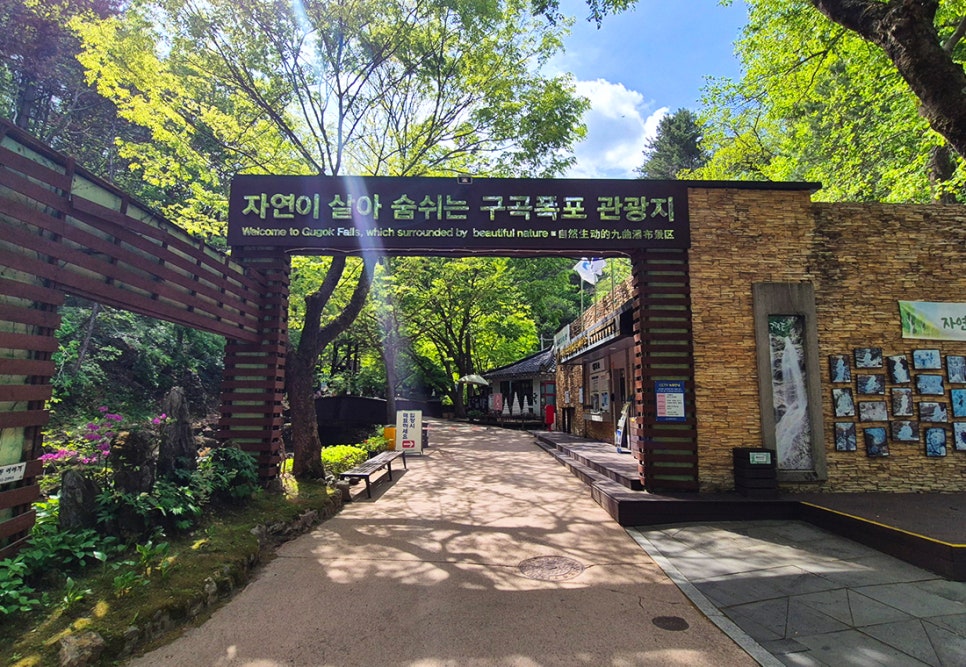 행운캠핑장 사진 5