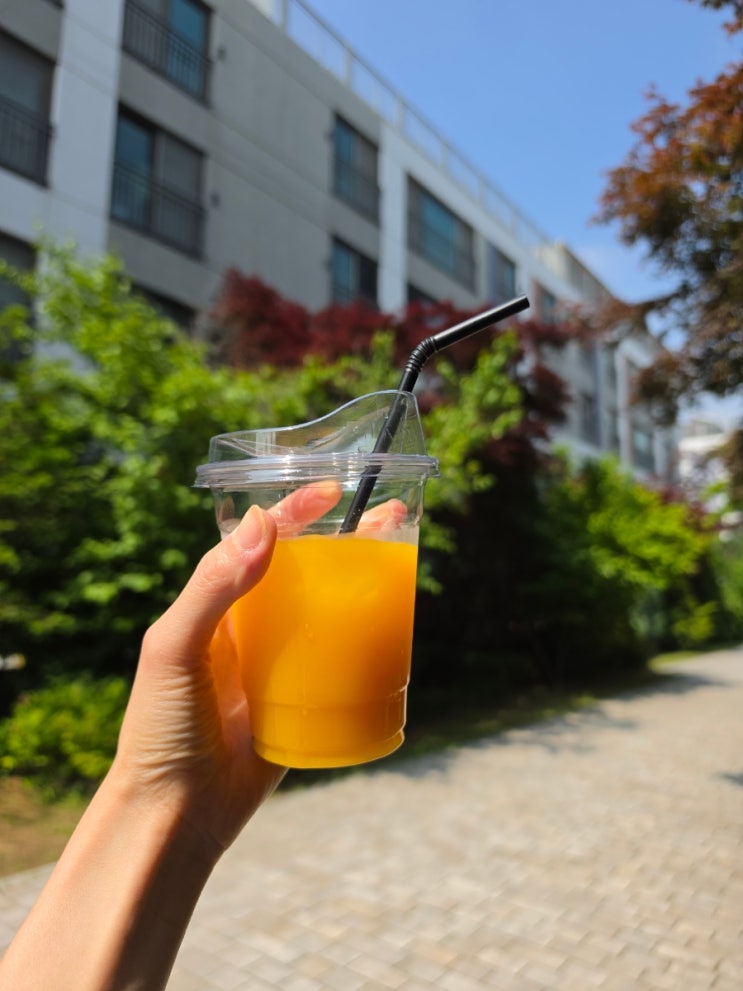  빨대 없이 더 편한 테이크아웃! 에코윌 일회용 플라스틱 투명컵 420ml 세트 사용 후기