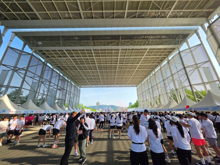 대전 식품안전마라톤 대회 10km 완주 후기, 나이키 윈플로12