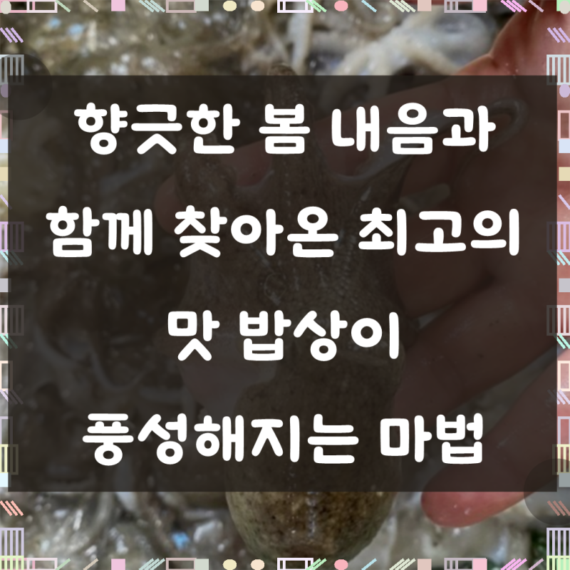 산지직송 국내산 활 쭈꾸미 국산 1kg 2kg 알배기 알쭈꾸미 급냉