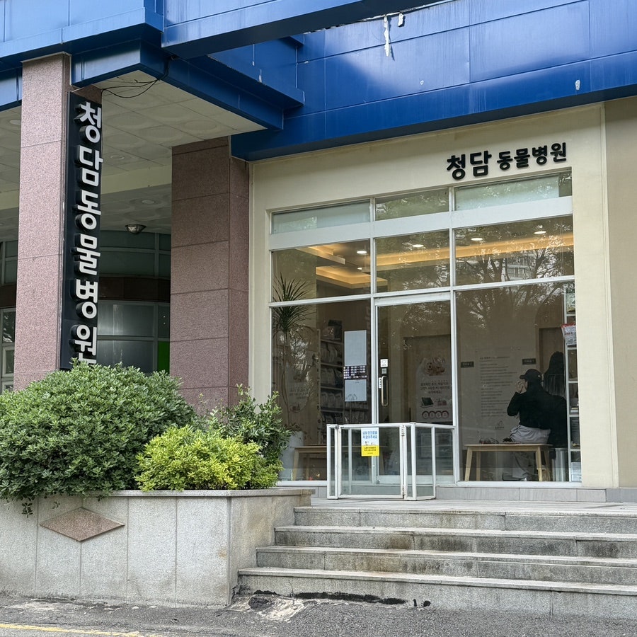 청담동물병원 사진 1