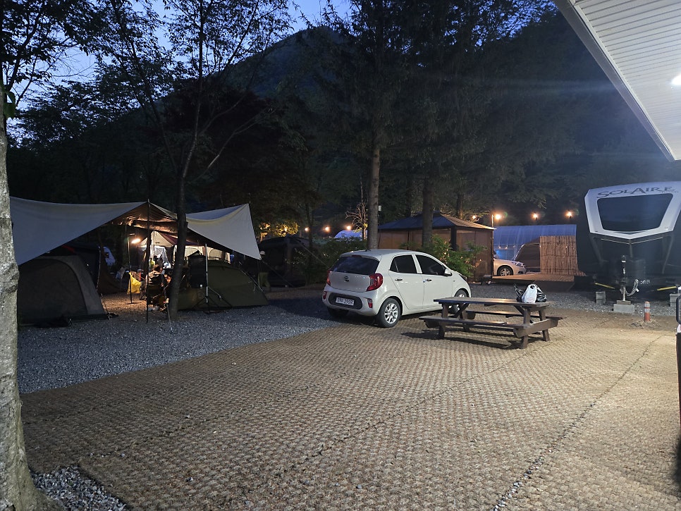 포레스트힐링캠프 사진 2
