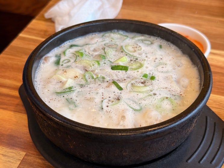  [춘천 거두리 맛집] 잡내 없이 진한 국물의 정석, 광천순대 본점 사골 순대국 후기 