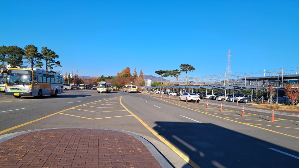 능동산 사진 3