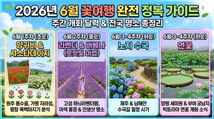  2026년 6월 꽃 여행 완벽 가이드 | 주차별 개화 캘린더 & 전국 축제 명소 총정리