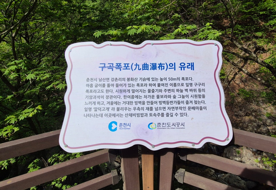행운캠핑장 사진 2