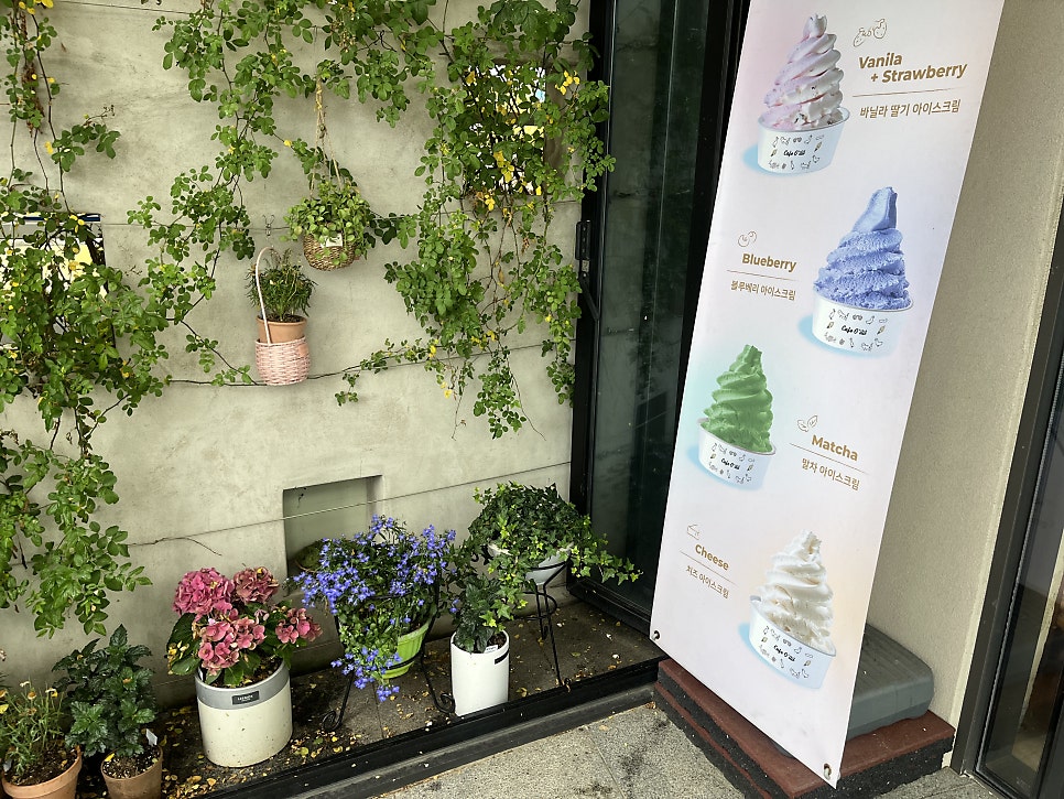 오일일 사진 5