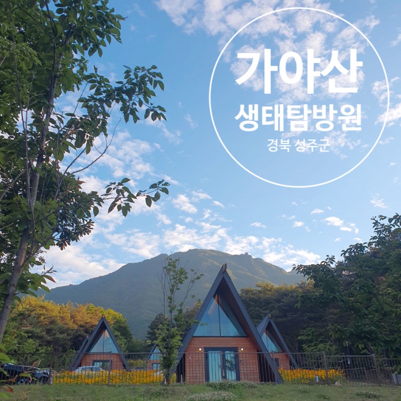 모든 뷰가 아름다운 국립공원 가야산 생태탐방원 하늘채, 후기와 예약방법