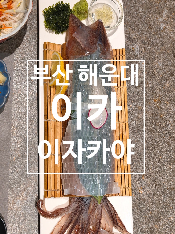  부산횟집 해운대술집 이자카야 맛집 이카