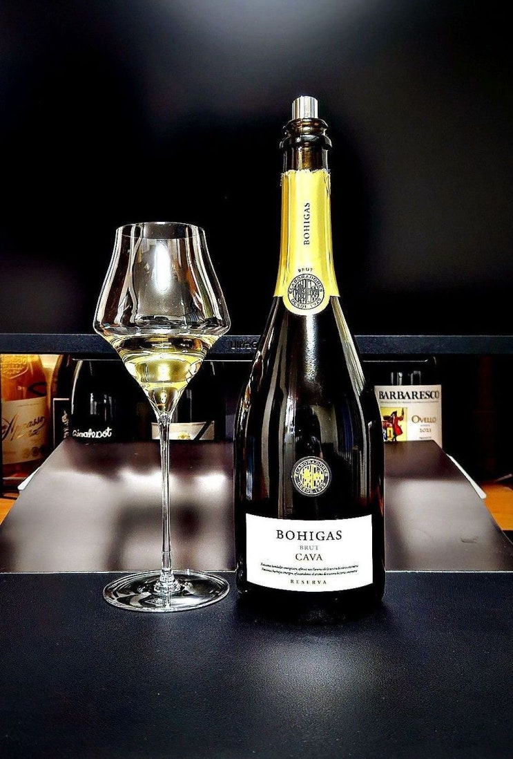  [까바] 보히가스 리제르바 까바 브뤼 2023 Bohigas Cava Brut Reserva 2023 스페인 스파클링 와인 리뷰