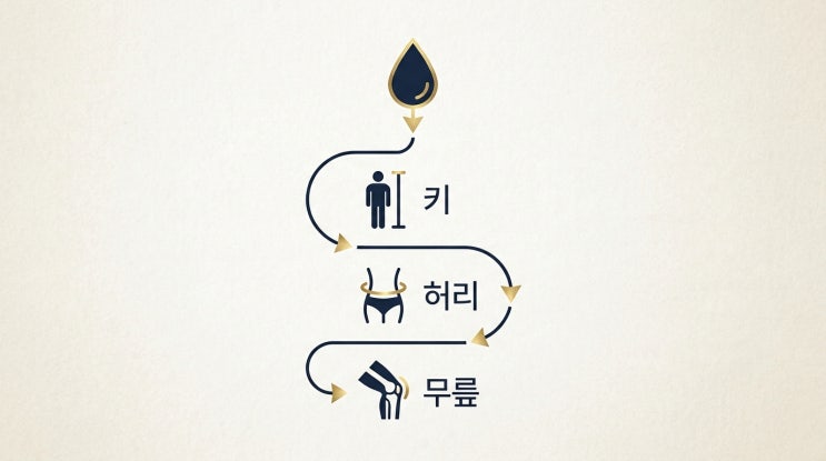  수 기운 약한 사주 특징 7가지, 신장과 허리가 약한 사람의 사주 구조 총정리