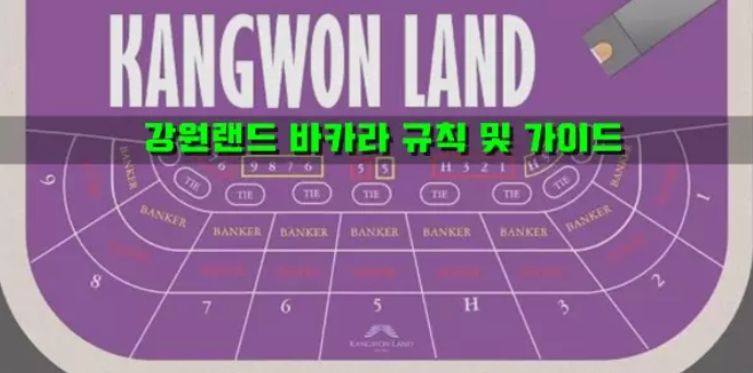  강원랜드 바카라 가이드에 대해서