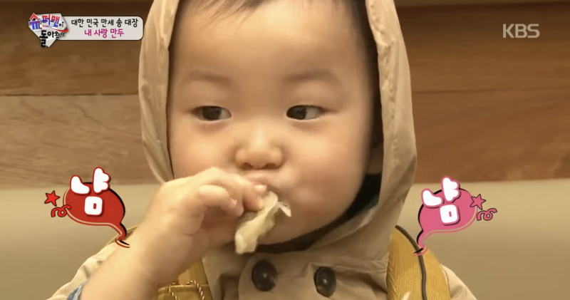 "부도 위기 회사를 대기업으로" 송일국, 삼둥이 갈비만두 먹방이 일으킨 기적!비하인드 공개