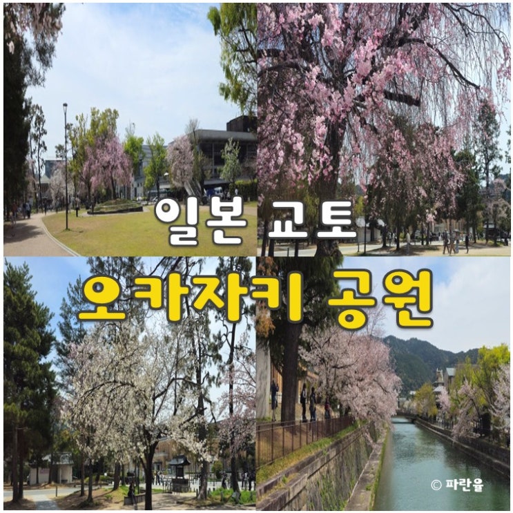  교토 오카자키 공원 현지인 추천 산책코스 벚꽃 여행
