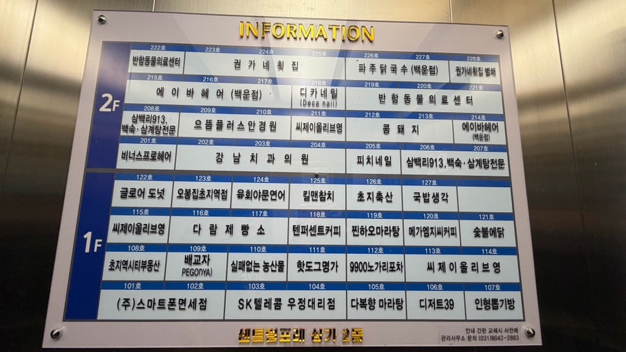 콩돼지 사진 2