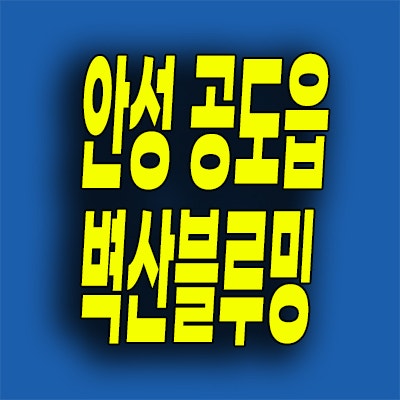  안성 공도읍 벽산블루밍 민간임대아파트 10년전세 분양가