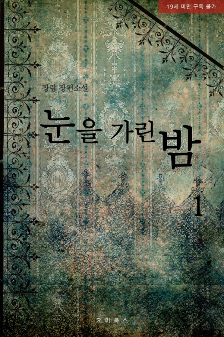 BL소설 리뷰) 장량-눈을 가린 밤