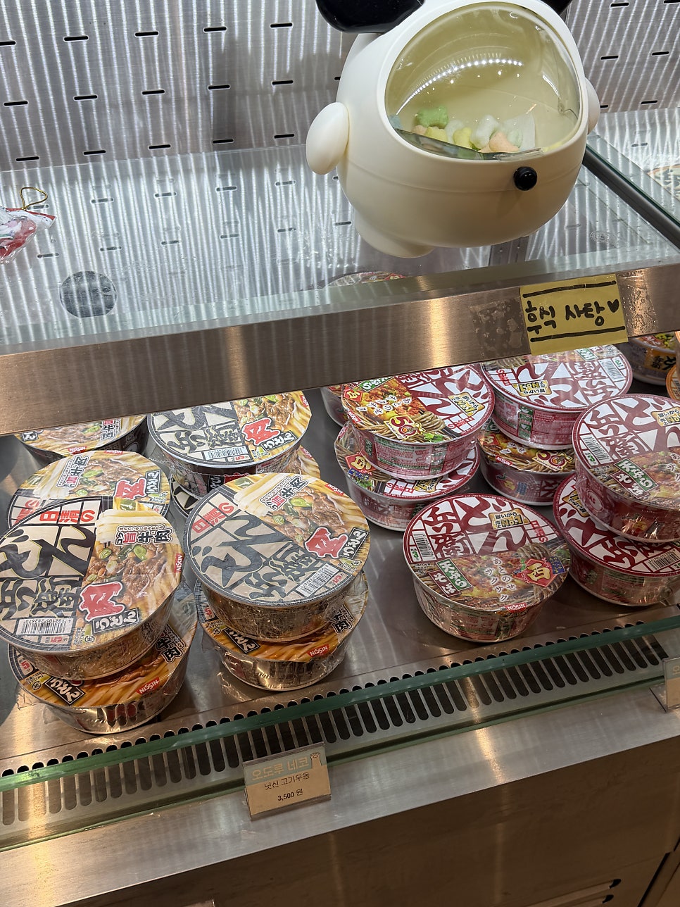 오도루네코 사진 5