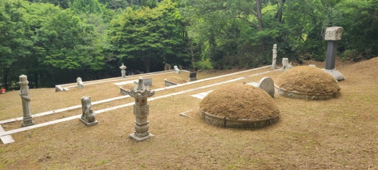  양산시 동면 법기리 봉분 4기 218평 연간관리서비스 벌초,제초,이끼제거대행("양산벌초대행")