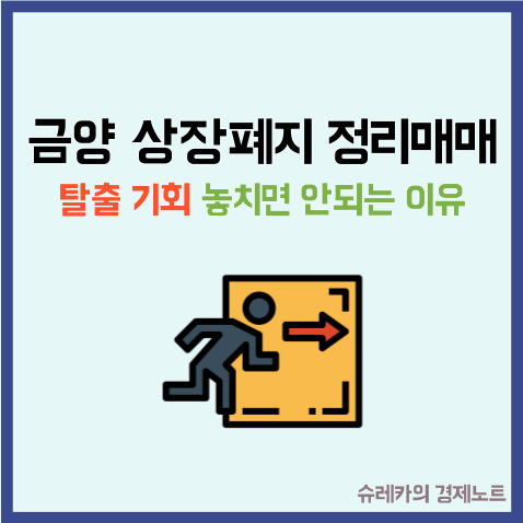  "금양 상장폐지 정리매매" 탈출 기회 놓치면 0원 된다