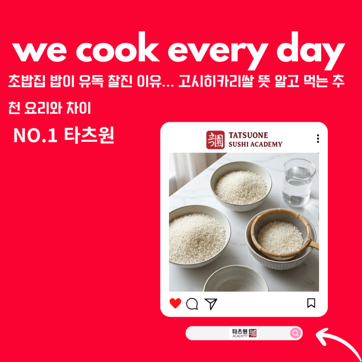  고시히카리 쌀 뜻 부터 차이 추천 하는 이유 싹다 알려드릴게요