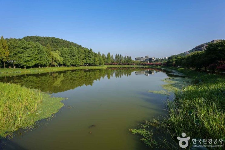  광주 전평제, 호수 데크 따라 가볍게 보기 좋은 매월동 산책길