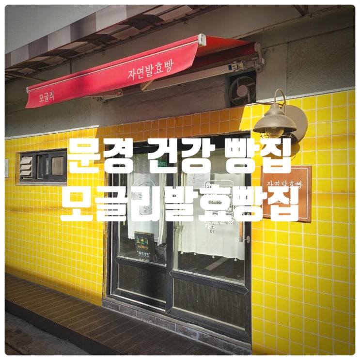 문경 빵지순례 || 문경 건강빵집 『 모글리발효빵집 』 무화과 복주머니 솔직후기