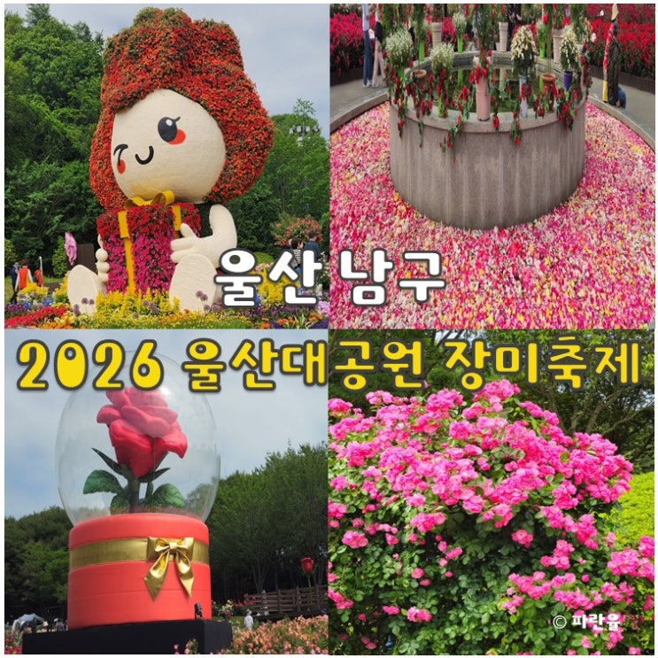  울산대공원 장미축제 2026 주차 입장료 실시간 개화상태 5월 부산 근교 경남 꽃축제