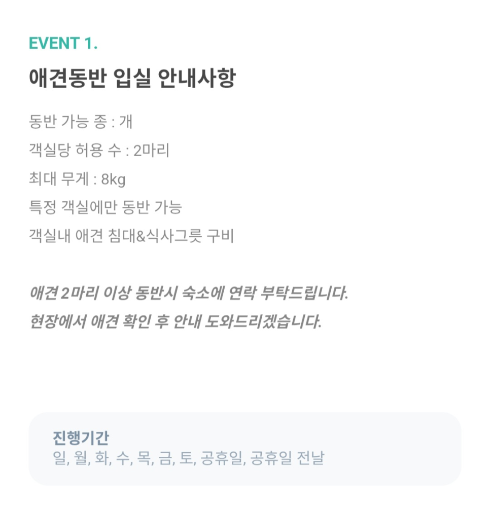 송스테이 사진 2