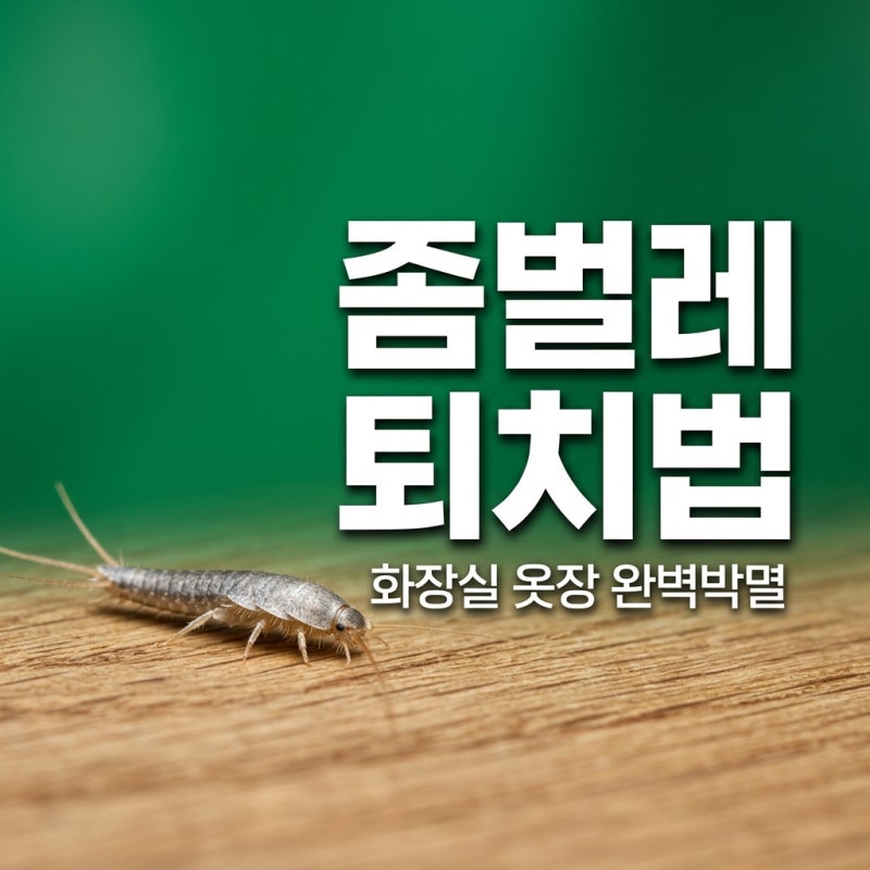 좀벌레 퇴치법 화장실 옷장 박멸하는 확실한 방법 5가지
