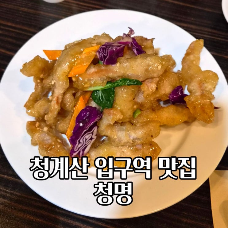  청계산 입구역 맛집 중식당 청명 위치 메뉴 솔직 후기