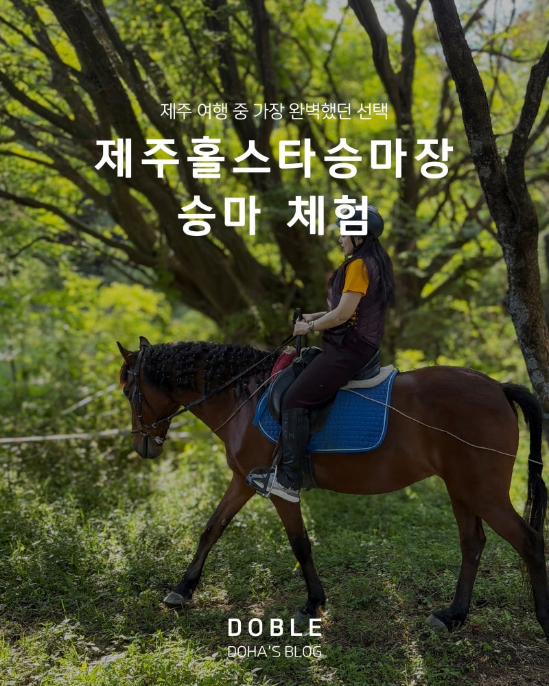 제주홀스타승마장 말타기 체험 추천