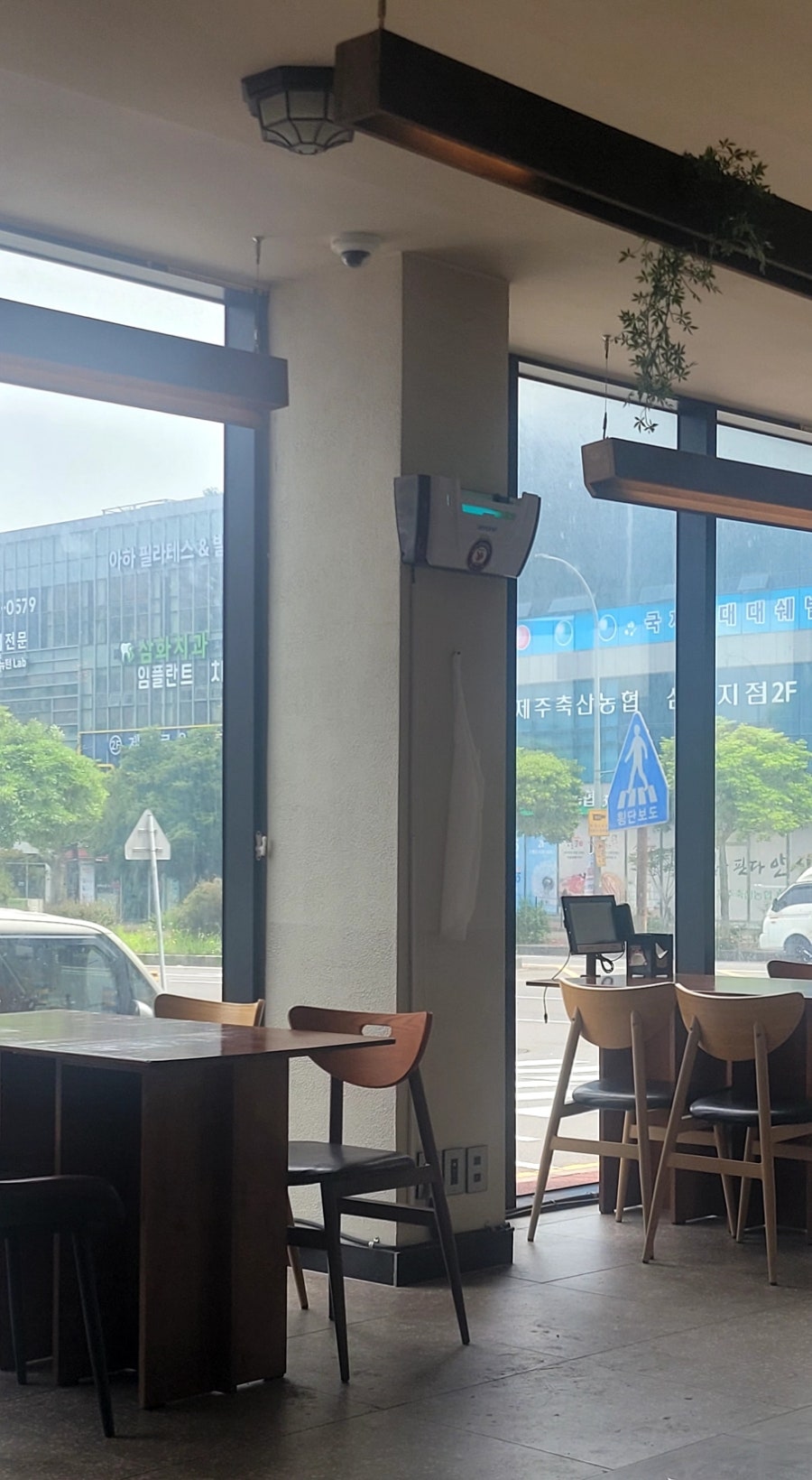 펠롱펠롱 사진 6