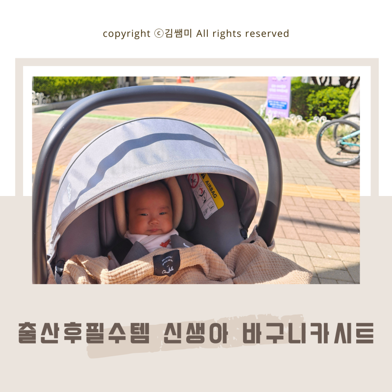 둘째 맘 신생아 일상 출산후필수템 조이 바구니 카시트 추천