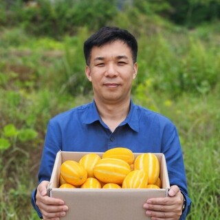  성주 꿀 참외 가정용 선물용 고당도 로얄과 - 당도 높은 제철 맛