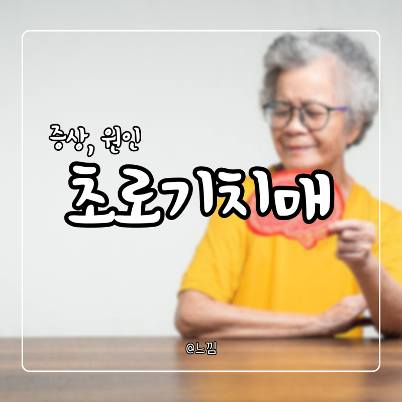 초로기 치매 초기증상 원인 예후 완치