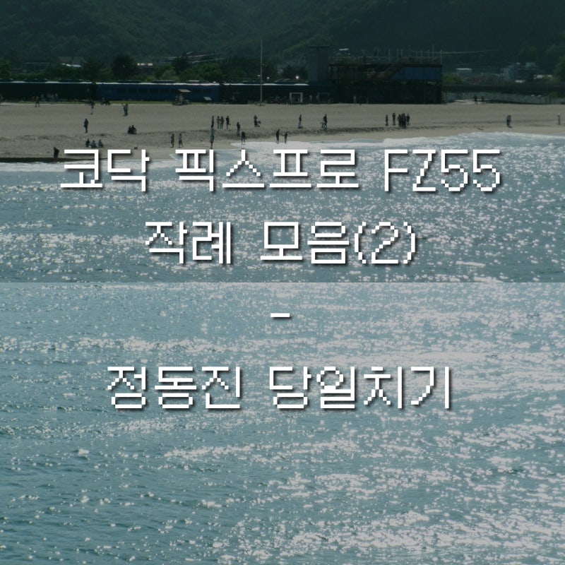 코닥 픽스프로 FZ55 작례 모음(2)