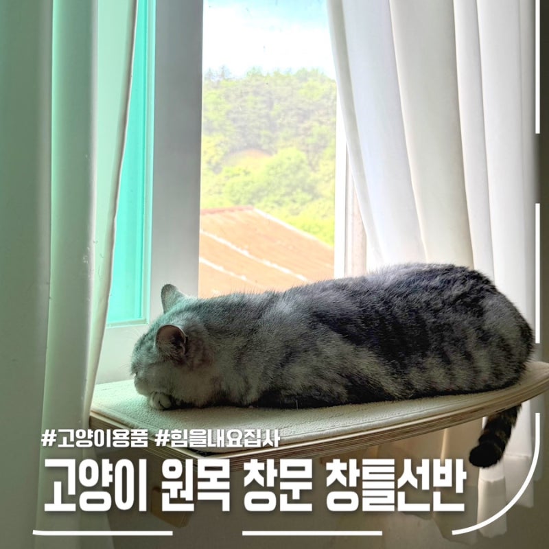 창가 좋아하는 냥이라면 필수! 고양이창틀선반 설치 후기