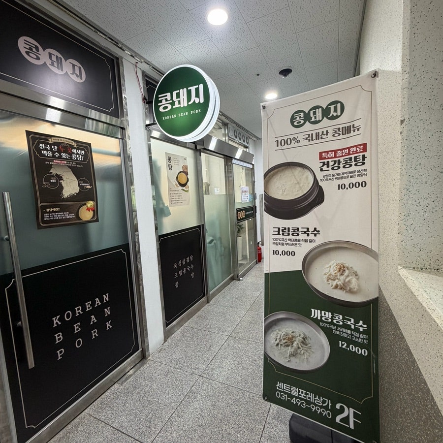 콩돼지 사진 4