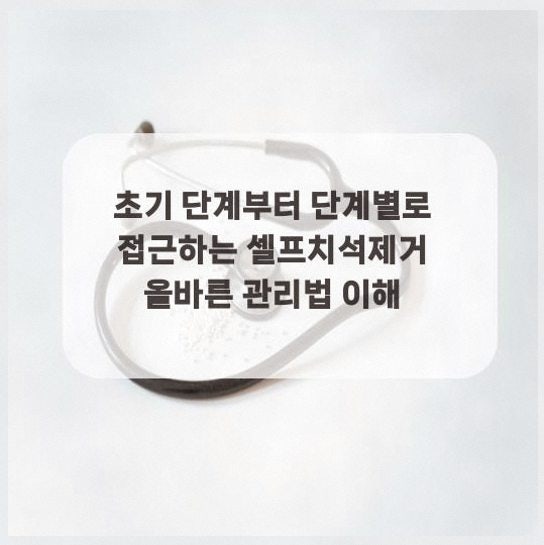 초기 단계부터 단계별로 접근하는 셀프치석제거 올바른 관리법 이해