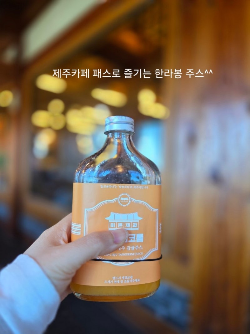 2026 제주도 렌트카 비교 후기 제주패스 vs 카모아 직접 예약해본 솔직 후기 가격·보험·쿠폰·....