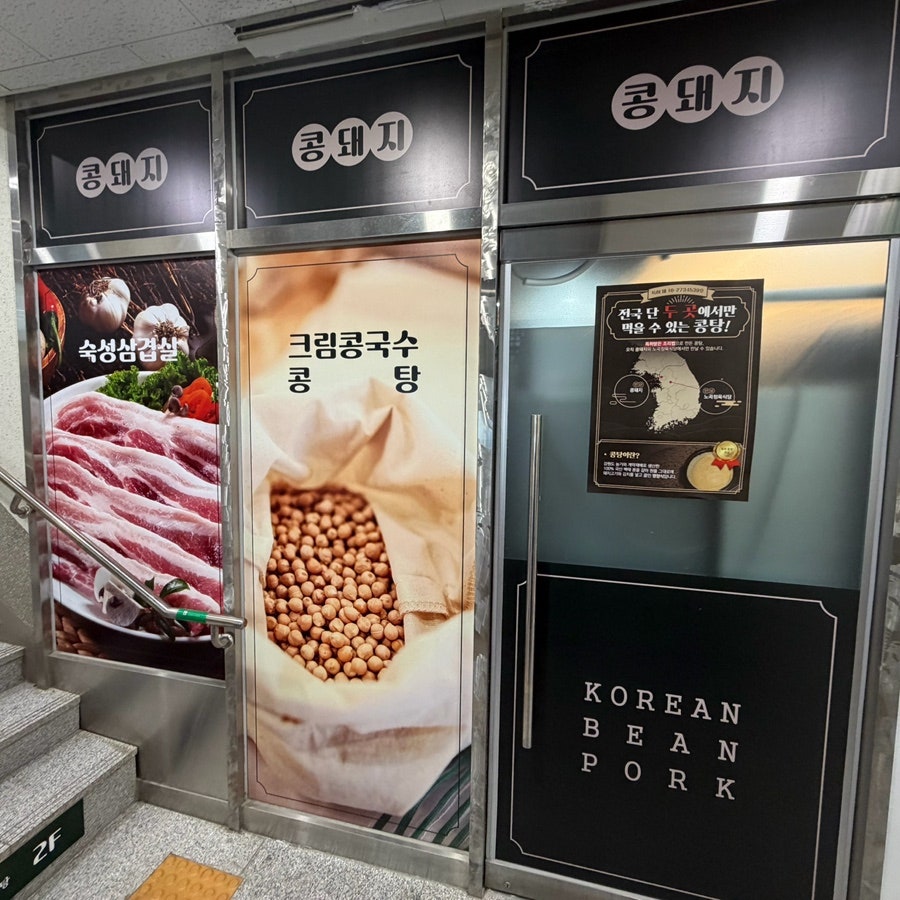 콩돼지 사진 3