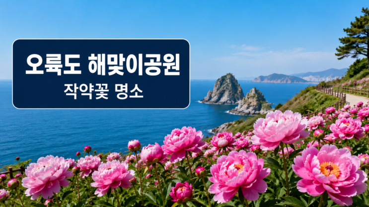  오륙도 해맞이공원 작약꽃 명소, 바다뷰 산책 팁