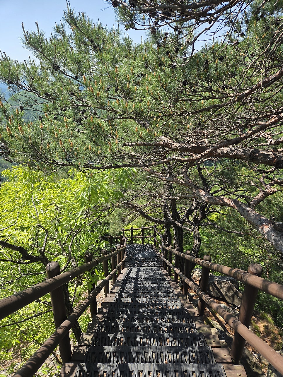 물탕골 사진 6