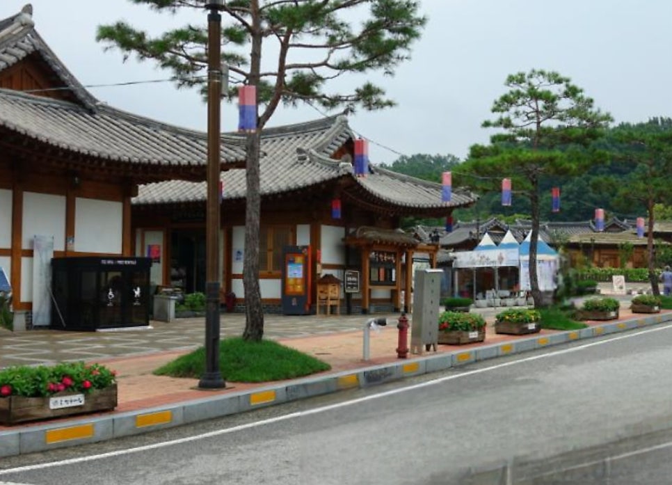 눈꽃나무 사진 3