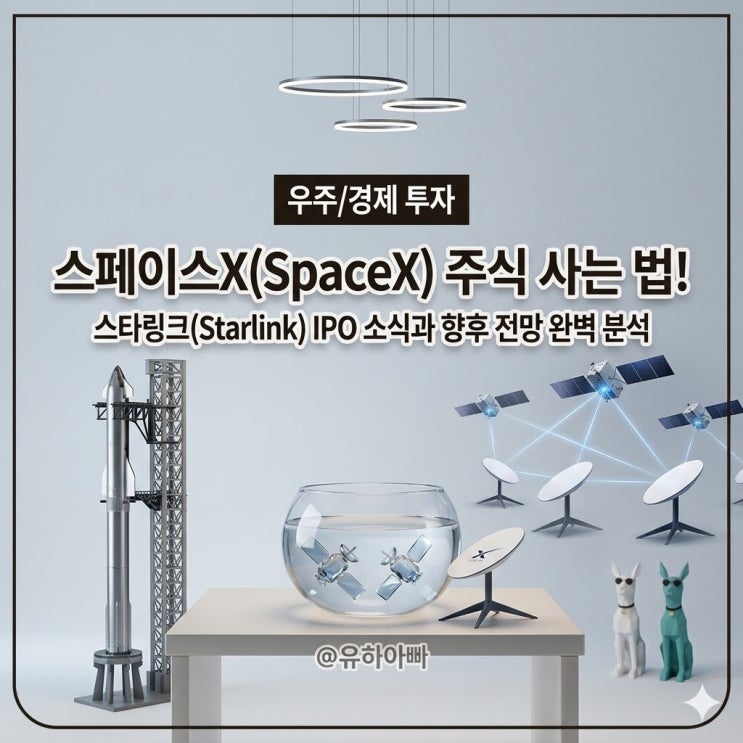  스페이스X(SpaceX) 주식 사는 법이 있을까? 스타링크 IPO 소식과 향후 전망 완벽 분석
