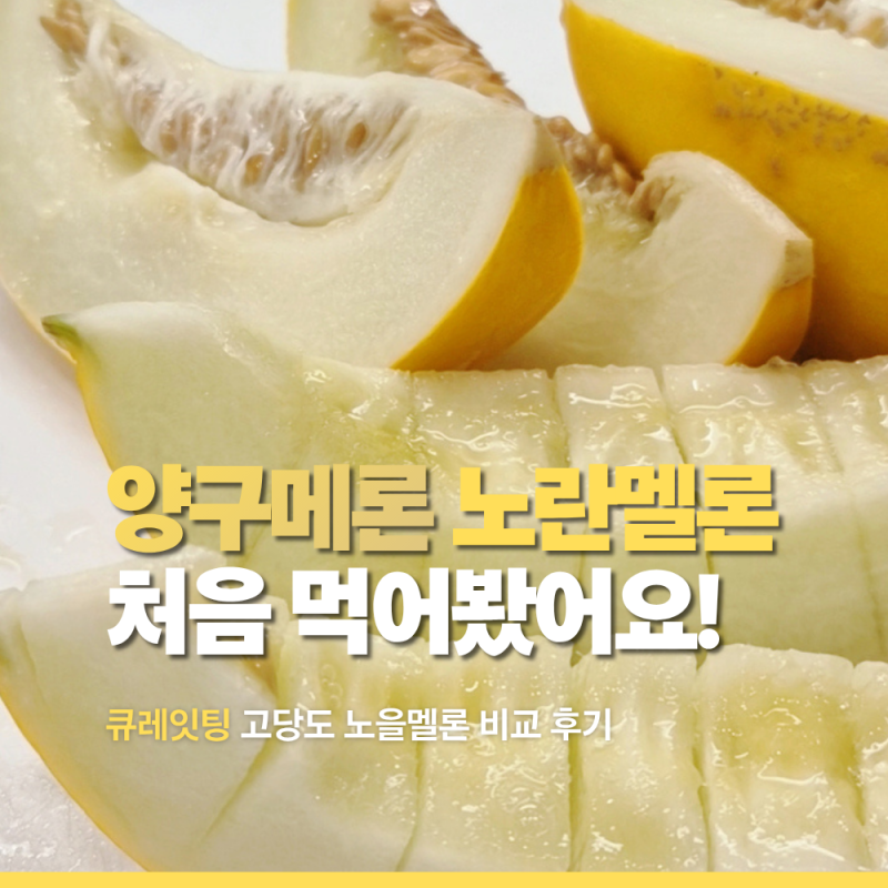 큐레잇팅 양구메론 노란멜론 처음 먹어봤어요! 고당도 노을멜론 비교후기