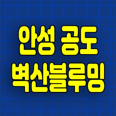  안성 공도 벽산블루밍 시그니처47 민간임대아파트 공도읍 모델하우스